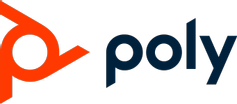 Poly Y ADPT TRAINER KIT