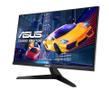 ASUS VY249HE 24IN WLED/IPS 1920X1080 250CD/M HDMI VGA MNTR (90LM06A0-B01H70)