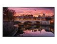 SAMSUNG Qb50R Digital Signage Flat 