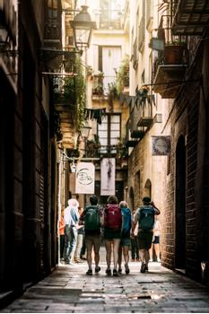 THULE Landmark 60L Backpack Grey  (3203727)