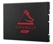 SEAGATE IronWolf 125 SSD 250Gb SATA 6 Gb/s retai