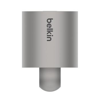 BELKIN Cable Lock Stainless Steel (F8E969bt)