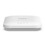 NETGEAR WAX214 Access Point AX1800, WiFi6 PoE, Wireless (WAX214-100EUS)