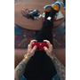 MICROSOFT Xbox Pulse Red USB-C and Bluetooth Wireless Gaming Controller (QAU-00012)