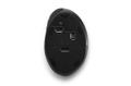 KENSINGTON n Pro Fit Ergo Wireless Mouse - Vertical mouse - ergonomic - left-handed - 6 buttons - wireless - 2.4 GHz (K79810WW)
