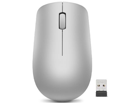 LENOVO 530 Wireless Mouse Platinum (GY50Z18984)