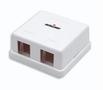 INTELLINET Outlet Box White (162852)