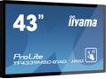 IIYAMA Kosketusnäyttö,  kapasitiivinen - 43inch PCAP  Anti-glare Bezel Free 12-Points Touch Screen, 1920x1080,  AMVA3 pane (TF4339MSC-B1AG)