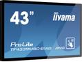 IIYAMA ProLite TF4339MSC-B1AG touch  (TF4339MSC-B1AG)