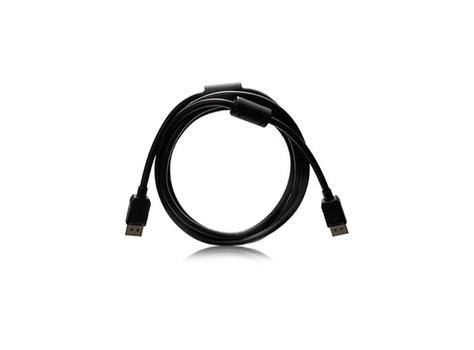 EIZO 2 M Displayport Black (PP200K)