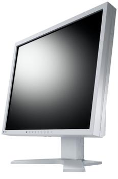 EIZO FDS1903-A-GY (FDS1903-A-GY)