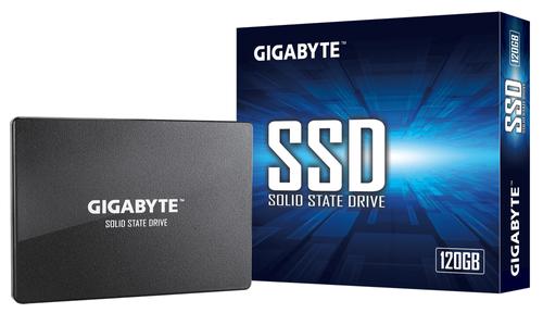 GIGABYTE Gpss1S120-00-G Internal Solid  (GP-GSTFS31120GNTD)