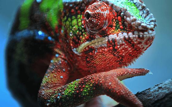 Epson EH-TW7100 - 3 LCD-projektor - 3D - hvit (V11H959040)