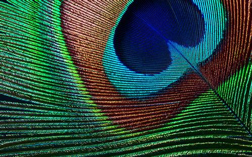 EPSON EH-TW7000 4K PRO-UHD projector (V11H961040)