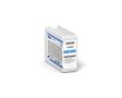 EPSON Surecolor Sc-P900 Large (C11CH37402BR)