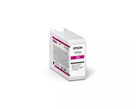 Epson SureColor SC-P900 - Roll Unit Promo - skriver - farge - ink-jet (C11CH37401BR)