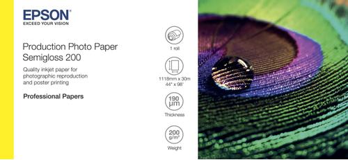 EPSON n Production - Polyethylene (PE) - semi-glossy - microporous - 200 micron - Roll (111.8 cm x 30 m) - 200 g/m² - 1 roll(s) photo paper - for Stylus Pro 9890, SureColor P10000, P20000, SC-P10000,  P20000 (C13S450378)