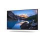 DELL UltraSharp U2422H 23.8inch 1920 x 1080 2xDP/ HDMI/ USB-C (DELL-U2422H)