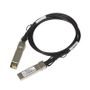NETGEAR SFP+ DirectAttachStack cable 1m