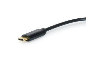 EQUIP Audio Cable 0.15 M Usb C 2 X  (133469)