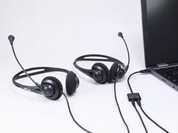 EQUIP Audio Cable 0.15 M Usb C 2 X  (133469)