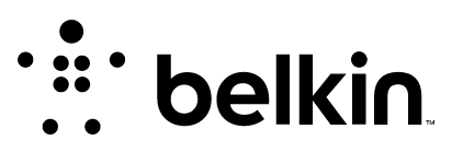 BELKIN 16-Port Single Head DP/HDMI