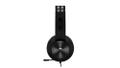 LENOVO Legion H300 Stereo Gaming  (GXD0T69863)
