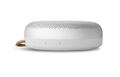 Bang & Olufsen Beosound A1 2nd Gen Grey Mist (1734001)