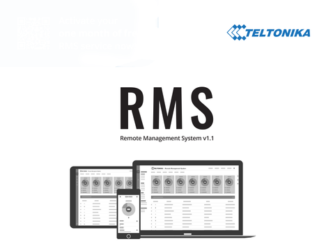 TELTONIKA RMS Management 10 year pack for Loomis (RMSMP1000000-L)