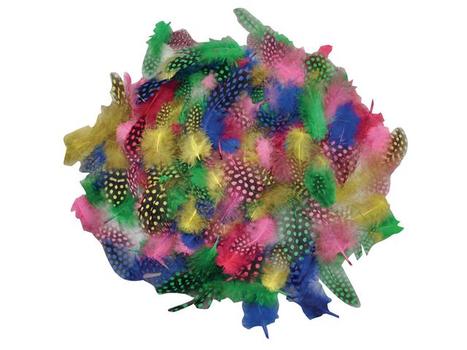 PLAYBOX Perlehønsfjær PLAYBOX ass (100) (2470043)