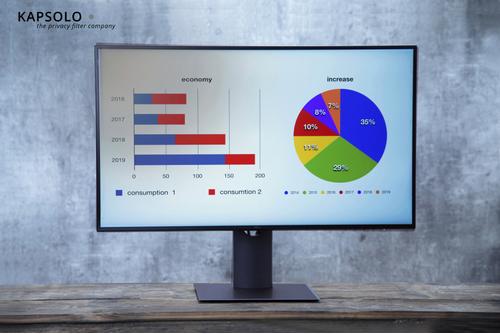 KAPSOLO 3H Anti-Glare Screen Protection for 51,05cm (20,1") 4:3 (KAP10740)