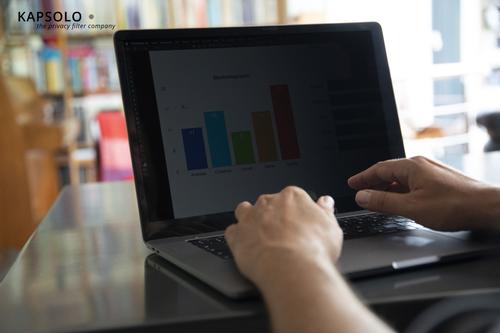 KAPSOLO 2-Way Plug In Privacy Screen for MacBook Air 11" (KAP10128)