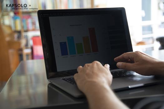 KAPSOLO 2-Way Plug In Privacy Screen for MacBook Air 11" (KAP10128)