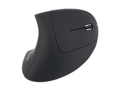 EQUIP Ergonomic Maus wireless Links und Rechtshänder schwarz (245110)
