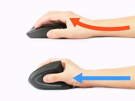 EQUIP Ergonomic Maus wireless Links und Rechtshänder schwarz (245110)