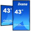 IIYAMA 43inch LCD UHD, SDM-S - 43inch 3840x2160,  4K UHD IPS panel (LH4352UHS-B1)