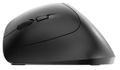 CHERRY MW 4550 LEFT Wireless ergonomic mouse USB black - Left (JW-4550)