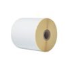 BROTHER Direct thermal label roll 102mm continues 58 meter 8 rolls/ carton
