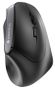 CHERRY Ergonomic wireless mouse Black (JW-4500)