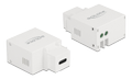 DELOCK Keystone Module USB Type-C™ Charging Port 2.1 A white