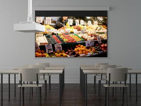 MULTIBRACKETS Universal Projector Ceiling Mount I (7350022730311)