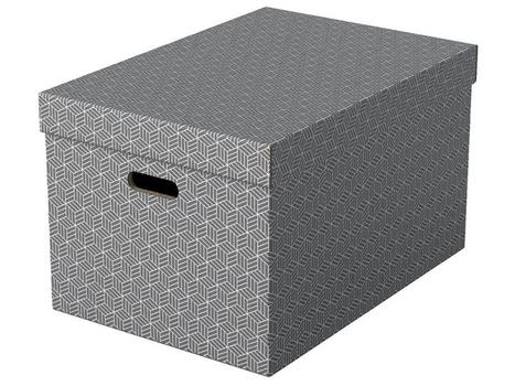 ESSELTE Opbevaringskasse ESSELTE grå L 3/FP (628287)