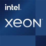 INTEL CPU/Xeon E-2356G 3.20Ghz FC-LGA14A Tray