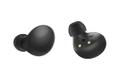 SAMSUNG GALAXY BUDS 2 R177 BLACK ACCS (SM-R177NZKAEUB)