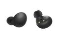 SAMSUNG Galaxy Buds2 Black (SM-R177NZKAEUB)