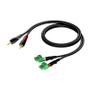 PROCAB CLA832 2xRCA 2xTerm Blo 3pin 3m 2x RCA/CINCH - 2x TERM BLOCK (3P - 3.81)