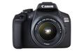 CANON CAMERA EOS 2000D 18-55IS+50MM F-FEEDS ( 2728C022)