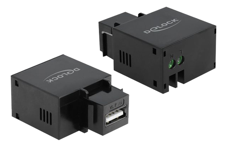 Delock Keystone module - modulinnlegg (86506)