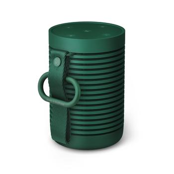 Bang & Olufsen Beosound Explore Green 60 W (1626004)