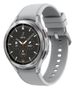 SAMSUNG Galaxy Watch4 Classic 46mm BT LTE IP68 Silver (SM-R895FZSAEUD)